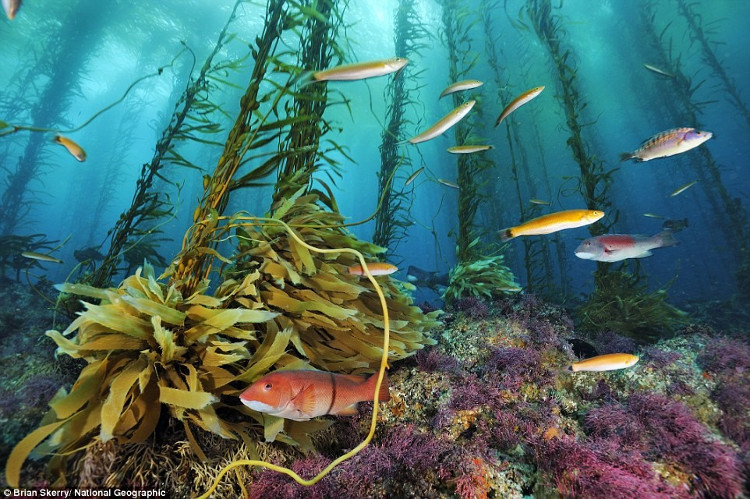 Picture 12 of Magical scenes in NatGeo's photos
