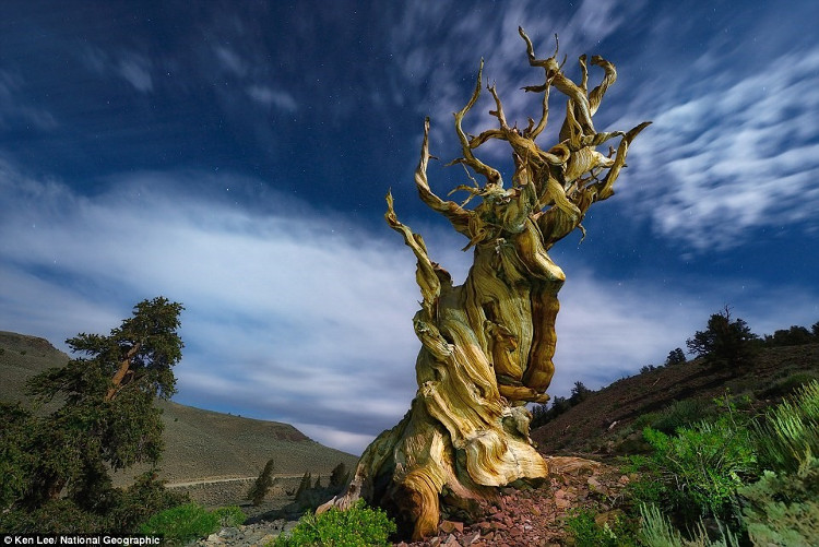 Picture 9 of Magical scenes in NatGeo's photos