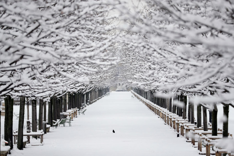 Picture 6 of Magnificent Paris with a record snowfall in three decades