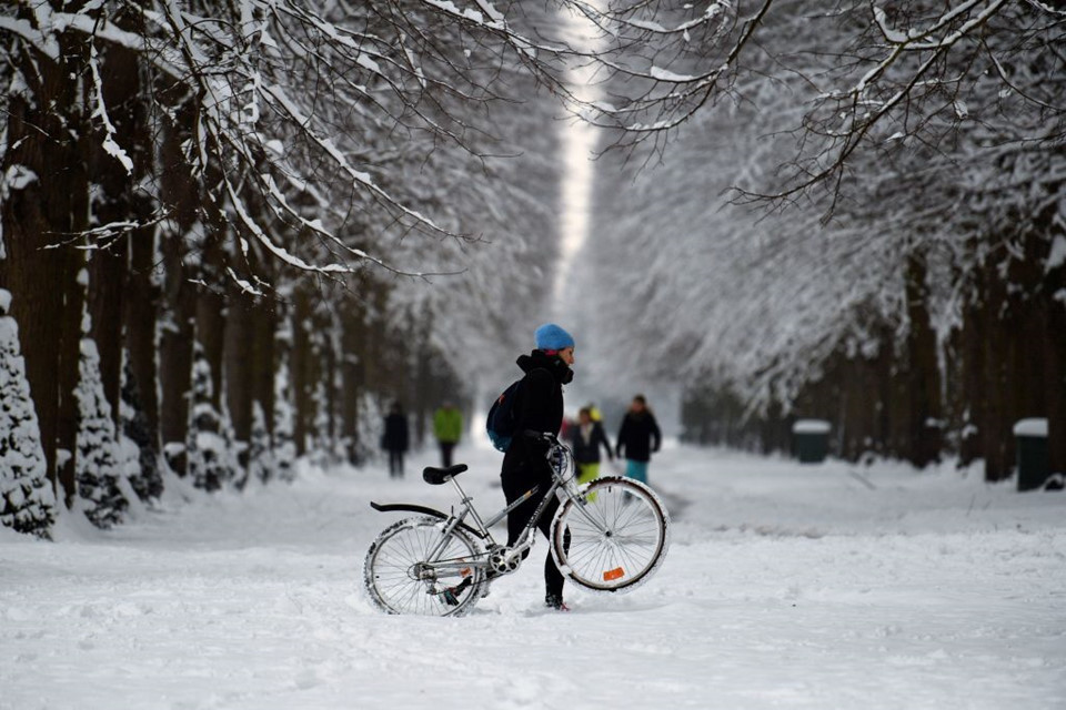 Picture 7 of Magnificent Paris with a record snowfall in three decades