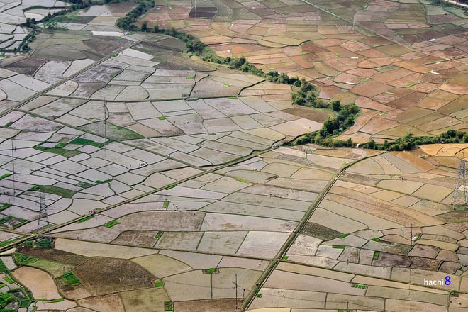 Picture 6 of Mai Chau valley is poetic in transplanting
