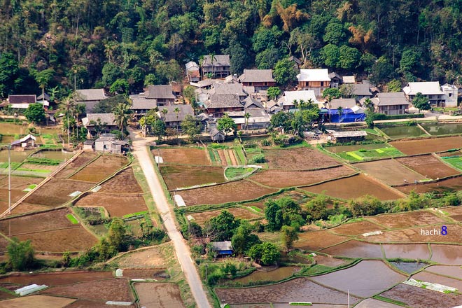 Picture 7 of Mai Chau valley is poetic in transplanting