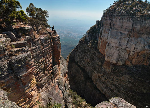Picture 6 of Maiombe - Africa's natural wonder