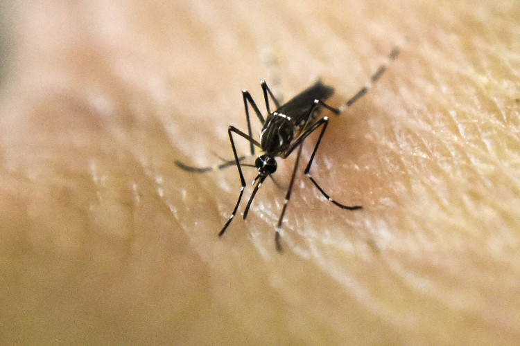 Picture 1 of Malaysia confirmed the first Zika case