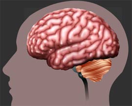 Picture 1 of Malfunction memory creates memories of past lives