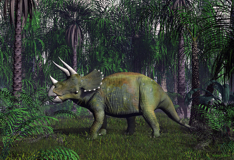 Picture 1 of Mammals are more likely to survive in extreme conditions