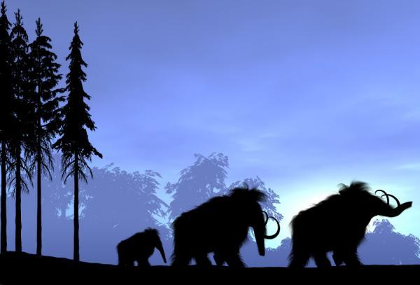 Picture 1 of Mammoths existed in England until 14,000 years ago