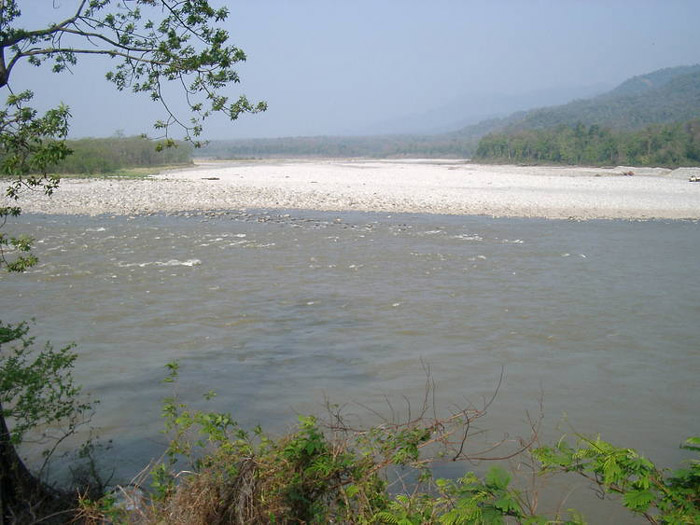 Picture 1 of Manas Wildlife Reserve