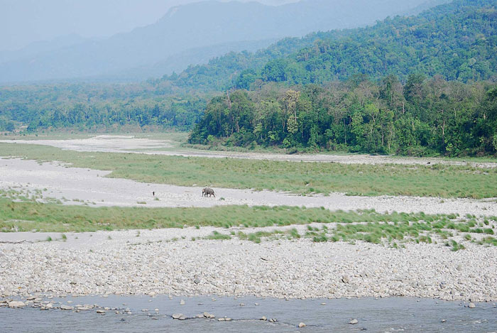 Picture 2 of Manas Wildlife Reserve