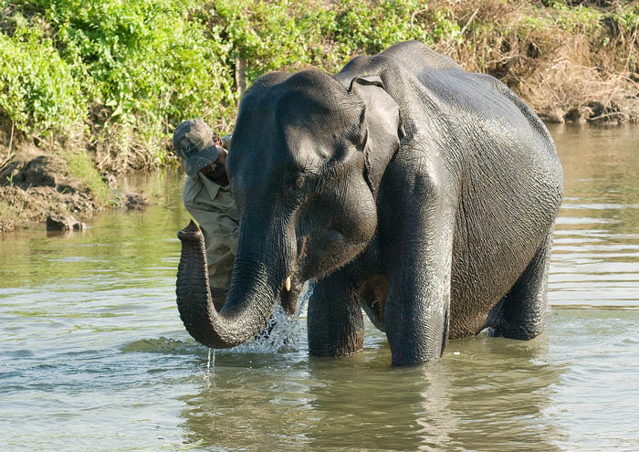 Picture 6 of Manas Wildlife Reserve