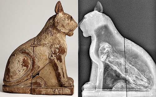Picture 1 of Many mummies of ancient Egyptian animals were fake