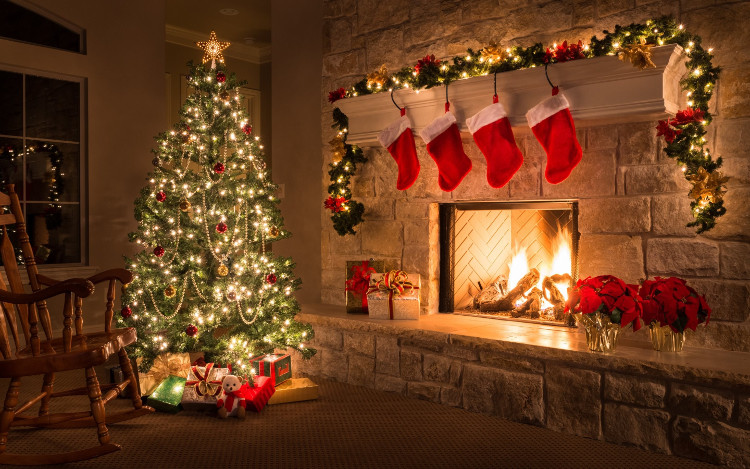 Picture 1 of Many people carefree planting Christmas trees indoors without knowing the consequences