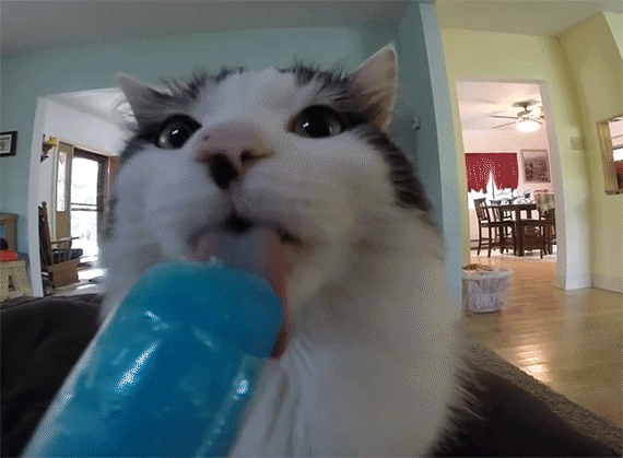 Picture 5 of Many people when they eat things that are too cold get cold