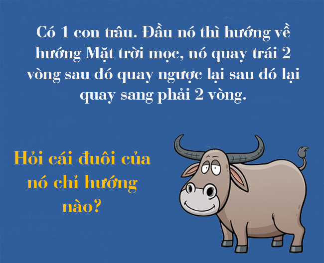Picture 4 of Many people will 'kneel' if you solve these 4 puzzles in 1 minute