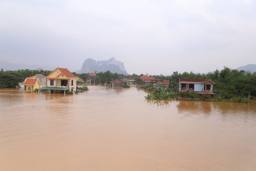 Picture 1 of Many Quang Binh people eat white rice, shrimp noodles live on the roof