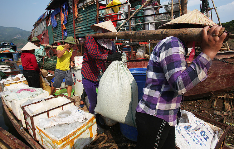 Picture 2 of Many specialty fish species in the mountain wholesale market