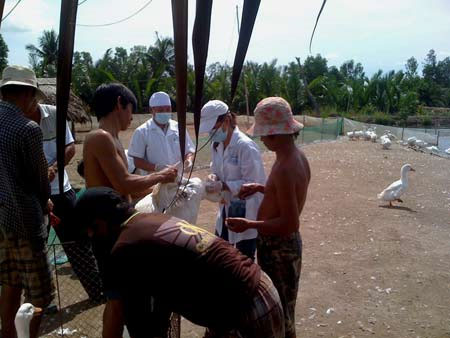 Picture 2 of March 2012: Launching H5N1 vaccine for poultry