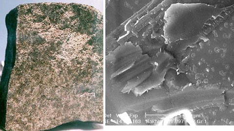 Picture 3 of Mars jewel contains fossils of alien creatures?