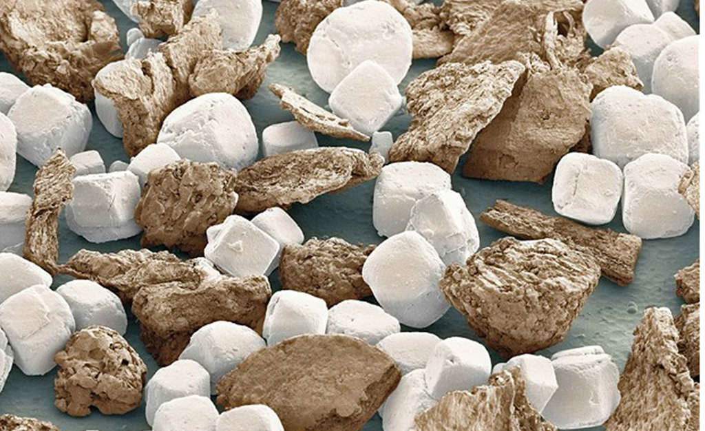 Picture 1 of Marvel at 35 familiar images that become incredibly bizarre under a microscope