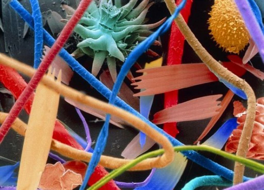 Picture 11 of Marvel at 35 familiar images that become incredibly bizarre under a microscope