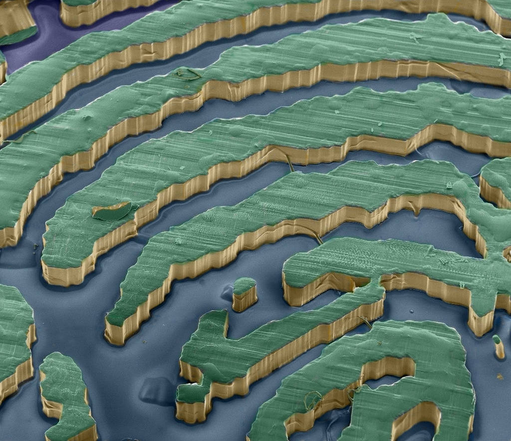 Picture 18 of Marvel at 35 familiar images that become incredibly bizarre under a microscope