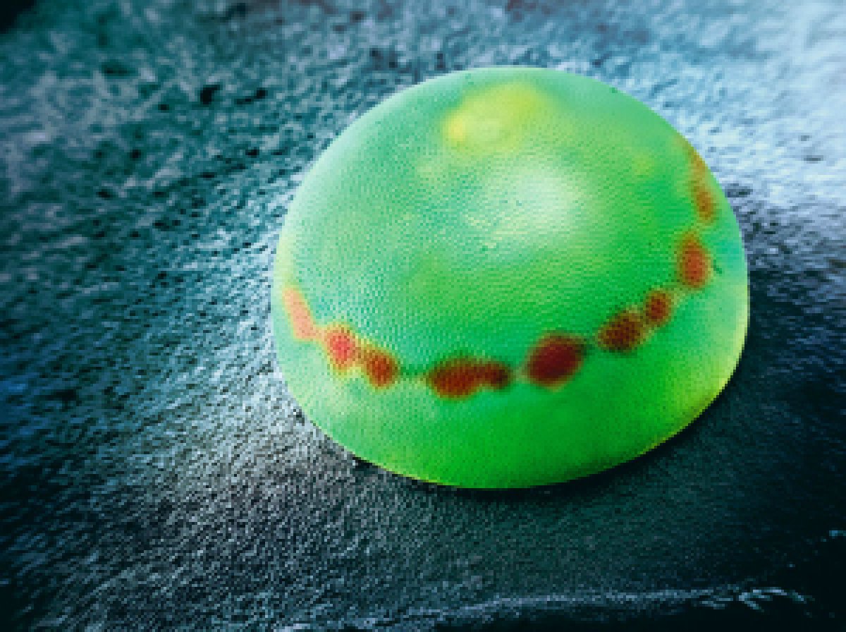 Picture 28 of Marvel at 35 familiar images that become incredibly bizarre under a microscope