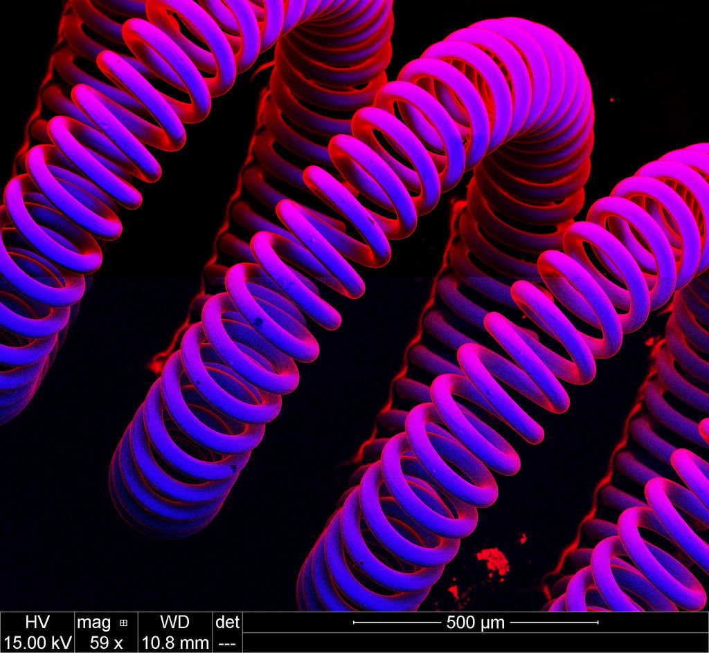 Picture 3 of Marvel at 35 familiar images that become incredibly bizarre under a microscope