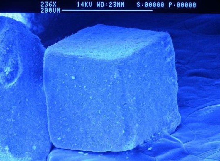 Picture 6 of Marvel at 35 familiar images that become incredibly bizarre under a microscope