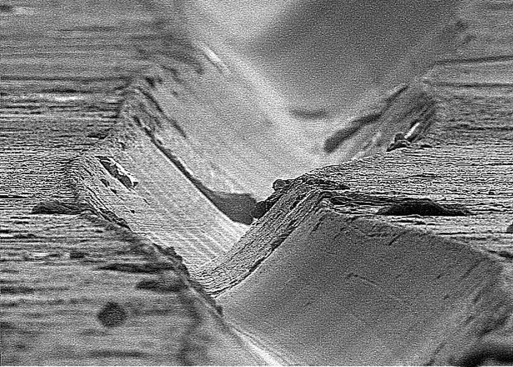 Picture 8 of Marvel at 35 familiar images that become incredibly bizarre under a microscope