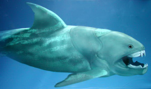 Picture 6 of Marvel at ancient creatures