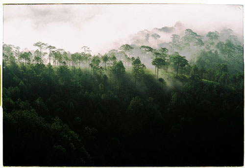 Picture 2 of Marvel at the beauty of Da Lat's soul in the clouds