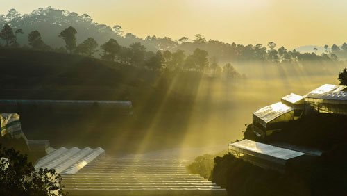 Picture 3 of Marvel at the beauty of Da Lat's soul in the clouds