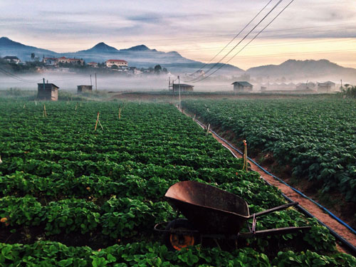 Picture 6 of Marvel at the beauty of Da Lat's soul in the clouds