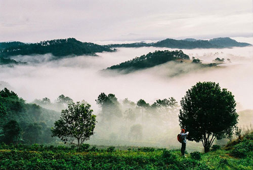 Picture 8 of Marvel at the beauty of Da Lat's soul in the clouds