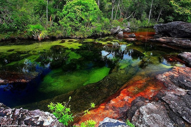 Picture 2 of Marvel at the beauty of the rainbow-colored river