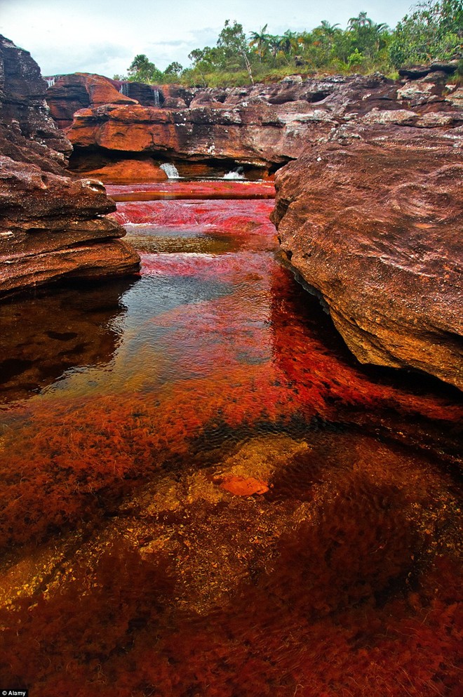 Picture 3 of Marvel at the beauty of the rainbow-colored river