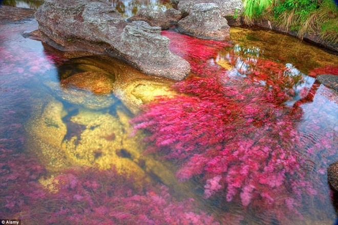 Picture 4 of Marvel at the beauty of the rainbow-colored river