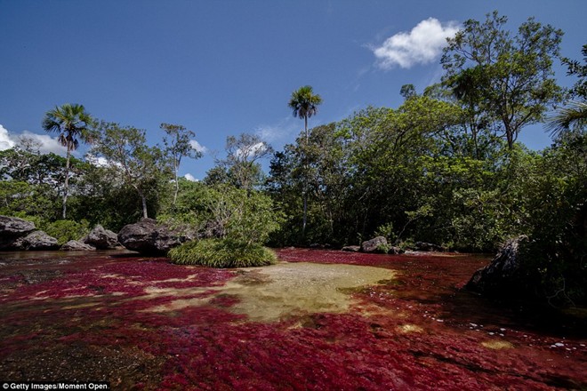 Picture 5 of Marvel at the beauty of the rainbow-colored river