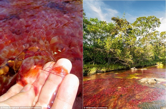 Picture 6 of Marvel at the beauty of the rainbow-colored river