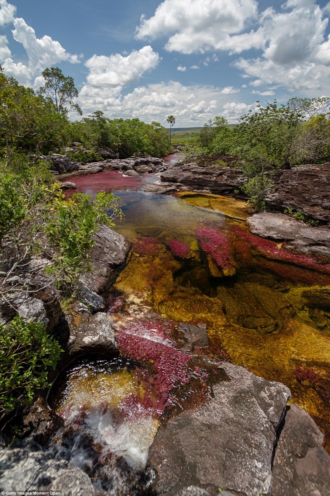 Picture 7 of Marvel at the beauty of the rainbow-colored river