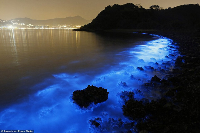 Picture 5 of Marvel at the exotic blue shores of China