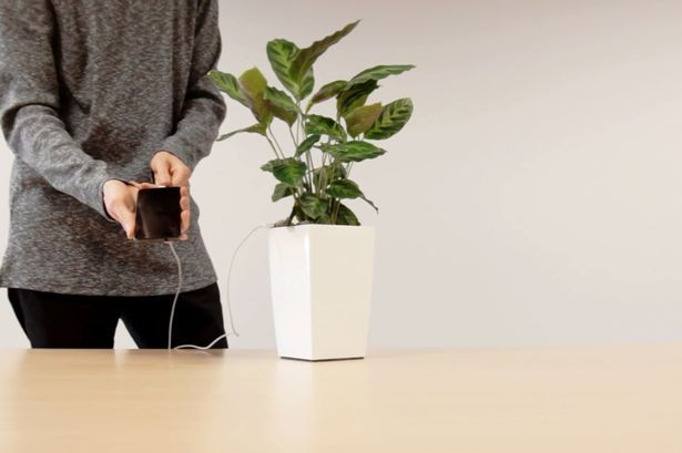 Picture 1 of Marvel at the invention of a new phone charger with green plants