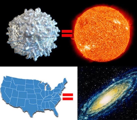 Picture 15 of Marvel at the mighty universe