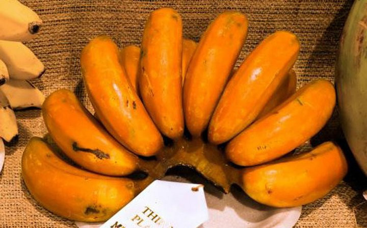 Picture 6 of Marvel at the most exotic and mysterious banana varieties in the world