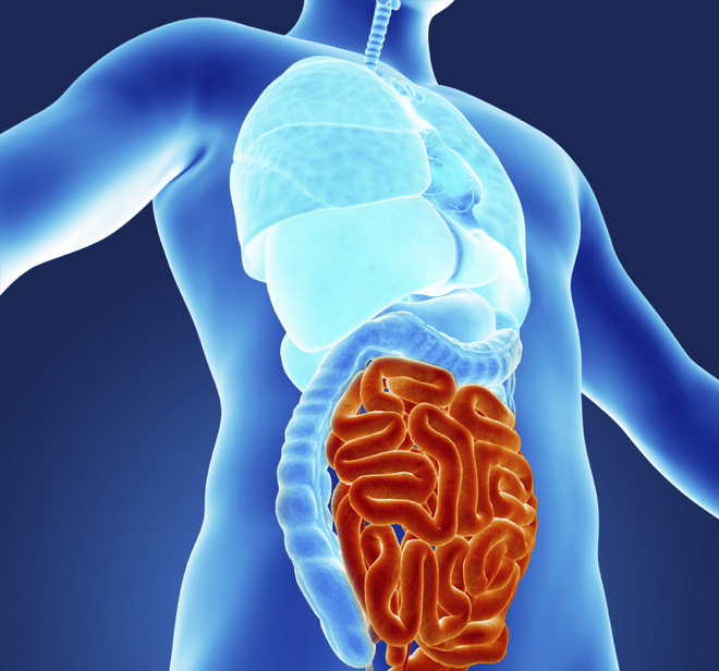 Picture 2 of Maybe you don't know: Our bodies have two brains!