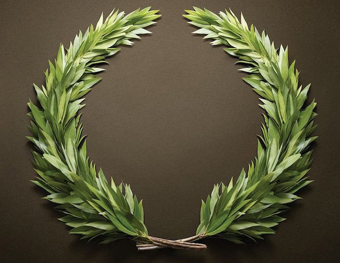 Picture 4 of Meaning and interesting things about Christmas laurels