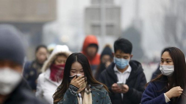 Picture 1 of Measures to protect the body from air pollution