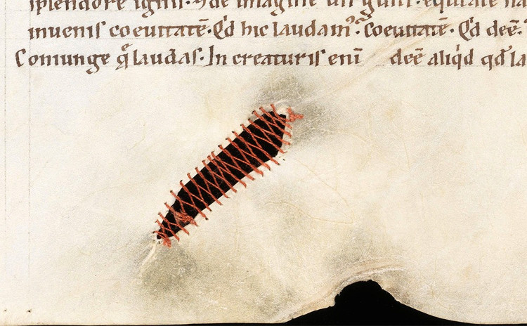 Picture 1 of Medieval book art: Great creativity!