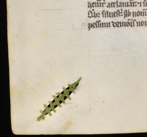 Picture 2 of Medieval book art: Great creativity!