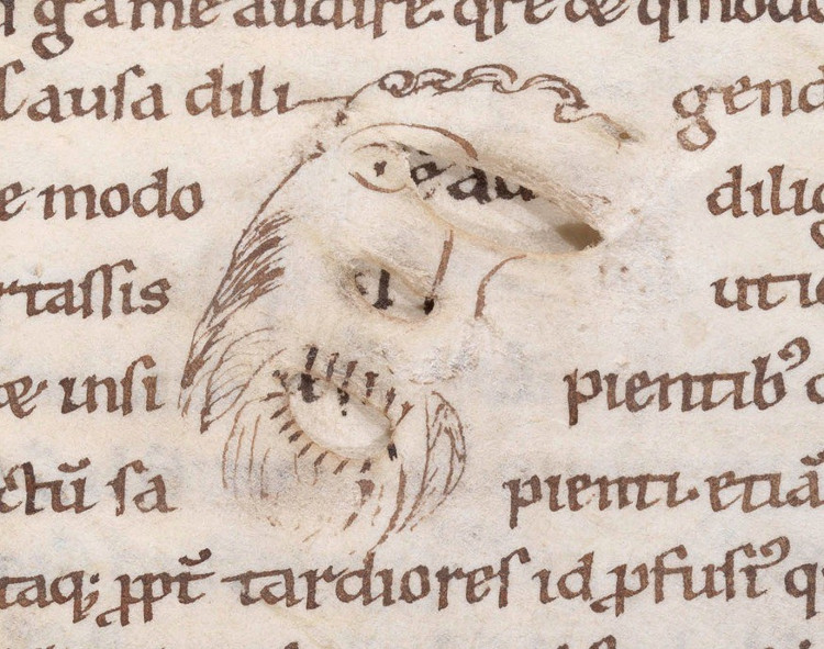 Picture 6 of Medieval book art: Great creativity!